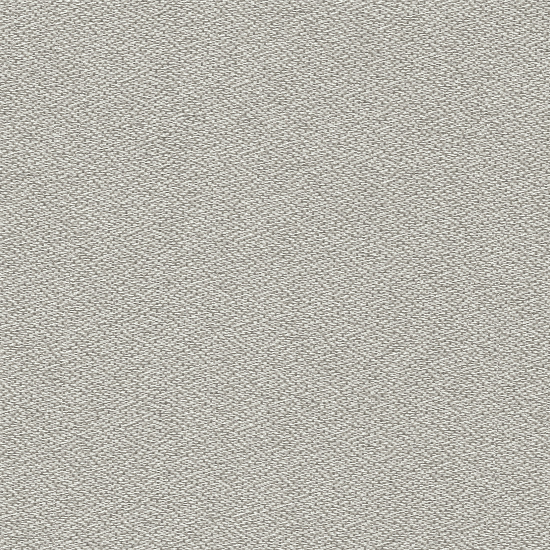 D1446 Sandstone Texture Charlotte Fabrics