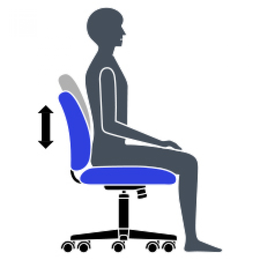 Back/Lumbar Height Adjustment