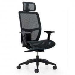 Format+ | High Back Weight Sensing Synchro-Tilter with Headrest, Mesh Seat and Back