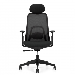 Fame | Adjustable Headrest